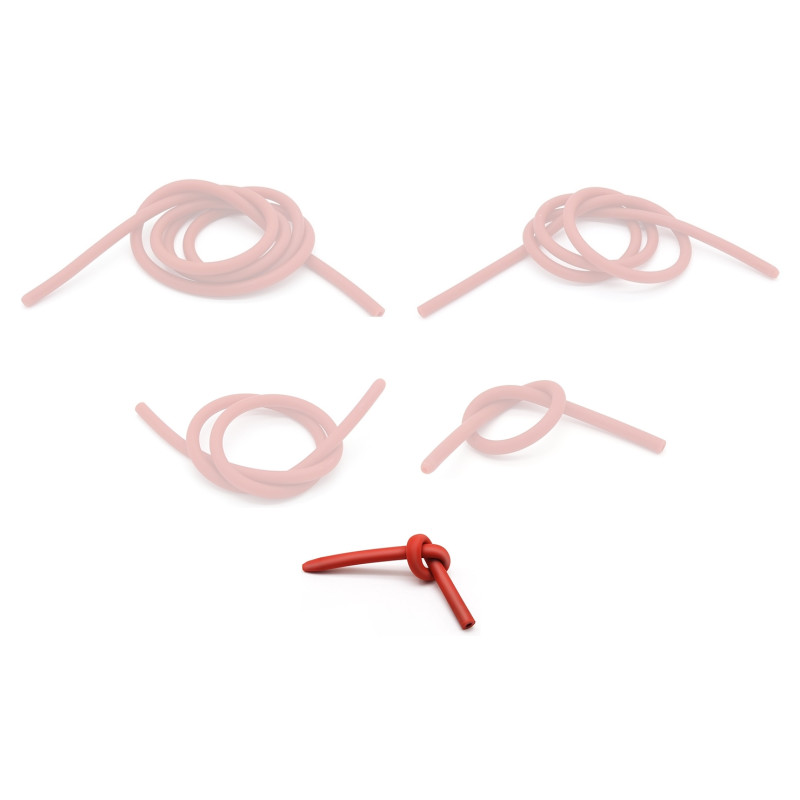 BDSMaster Tuyau flexible pour Seringue Pipe Flex S 30cm